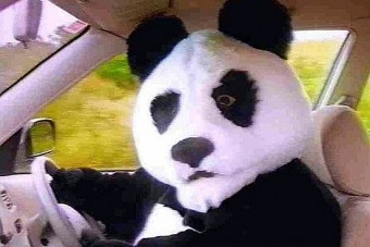 Autós pandatúra indul Kínába