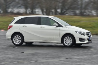 Álomország nyugdíjasainak kedvence