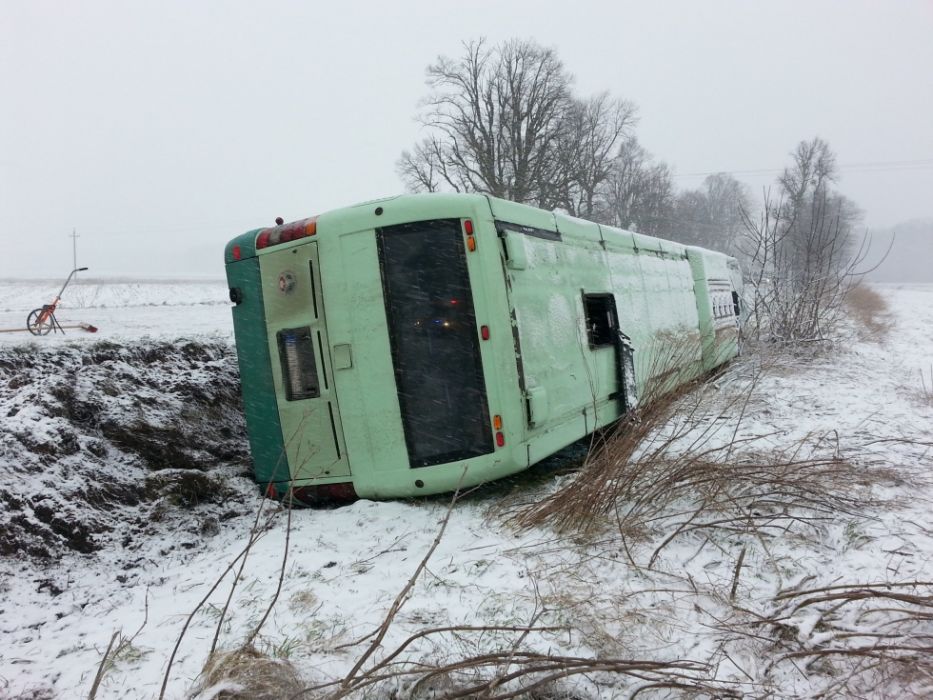 Fotók a barcsi tömegszerencsétlenségről 14