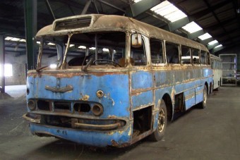 Újabb ritkaságok menekülhetnek meg