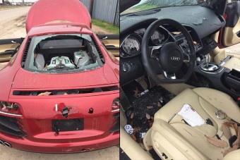 Vadállatként tépte szét az Audit a dühös feleség