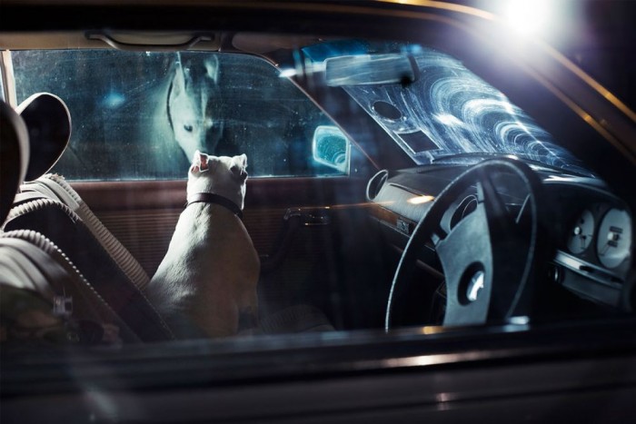 35 ok, hogy miért ne hagyd a kutyát az autóban 13 | Vezess 35 ok, hogy miért ne hagyd a kutyát az autóban 13