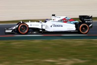F1: Hamilton rosszul van, kidőlt a tesztről 172