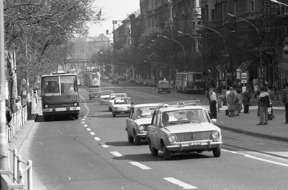 Ma 100 éves a budapesti buszközlekedés 6