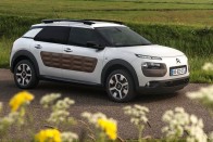 Citroën C4 Cactus (248 pont)