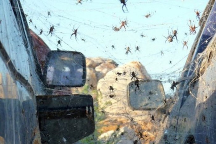 A legnagyobb autós közhelyek 7 | Vezess A legnagyobb autós közhelyek 7