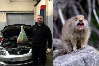 Nem hiszed el, mi bénította meg az autót!