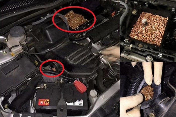 Nem hiszed el, mi bénította meg az autót! 3