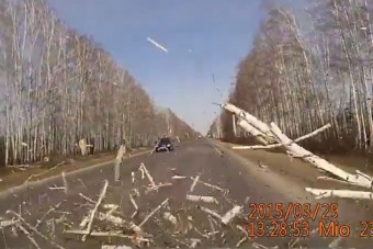 Autó elé dőlő fa még sosem volt ilyen fura