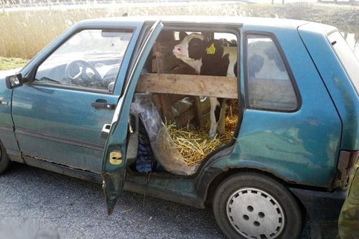 Az ember, aki istállót csinált az autójából