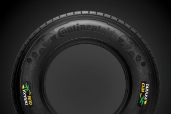 Pitypangból gyártanák a tehergumikat