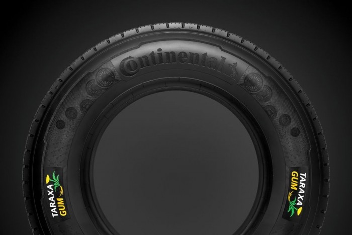 Pitypangból gyártanák a tehergumikat