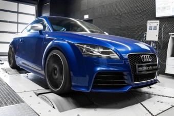 Korosodó ketrecharcos