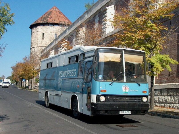 Amikor még a lovakat is busszal vitték 3