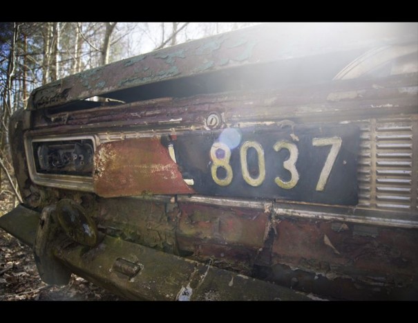 Rengeteg veterán autót emészt egy lengyel erdő 12 | Vezess Rengeteg veterán autót emészt egy lengyel erdő 12