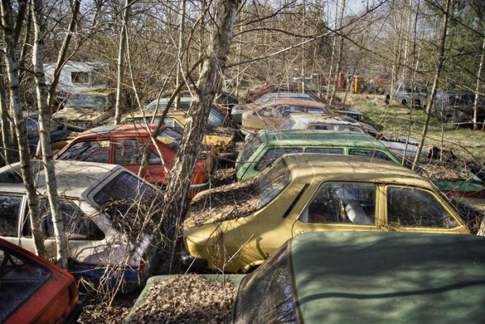 Rengeteg veterán autót emészt egy lengyel erdő 11 | Vezess Rengeteg veterán autót emészt egy lengyel erdő 11