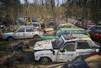 Rengeteg veterán autót emészt egy lengyel erdő