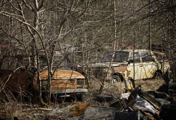 Rengeteg veterán autót emészt egy lengyel erdő 6 | Vezess Rengeteg veterán autót emészt egy lengyel erdő 6