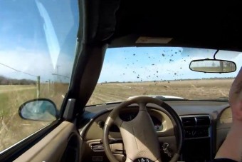 Rémisztő felvétel - elájult a sofőr vezetés közben