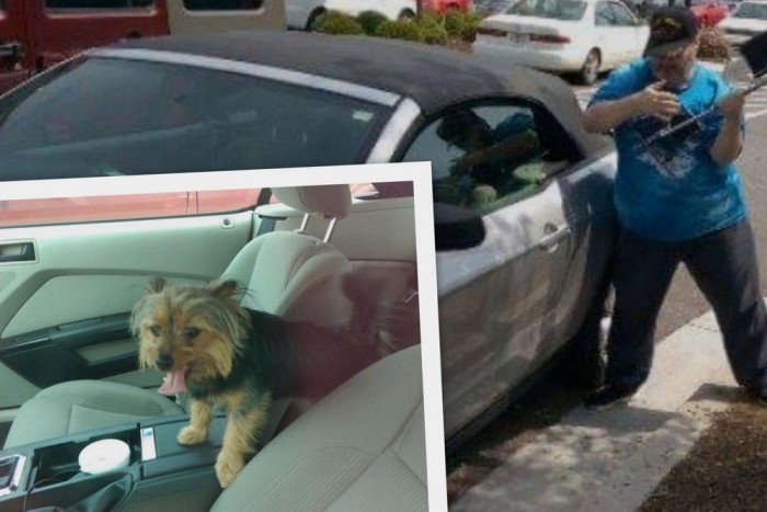 Megmentette a kutyát, feljelentette a gazdája