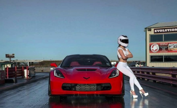 Kihívó hölgyek és izmos luxusautók 8 | Vezess Kihívó hölgyek és izmos luxusautók 8