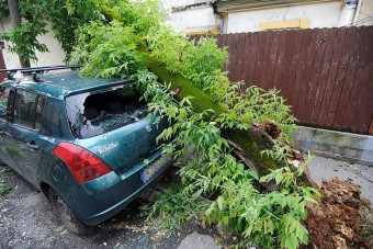 A nap képe - faág zuhant egy Suzukira