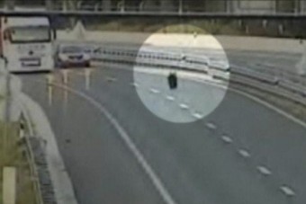 Medvék ellen kell védekezni egy horvát autópályán