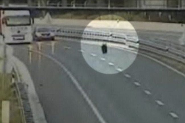 Medvék ellen kell védekezni egy horvát autópályán