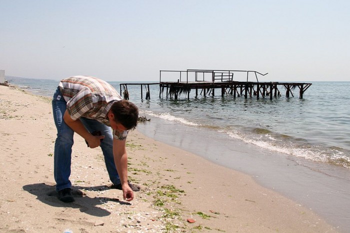 Attila lefejelt egy törököt 9 | Vezess Tamás kagylót gyűjt. Nem saját célra, hanem rendelésre.