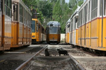 Meglepetés, itt a leggyorsabb a tömegközlekedés a világon