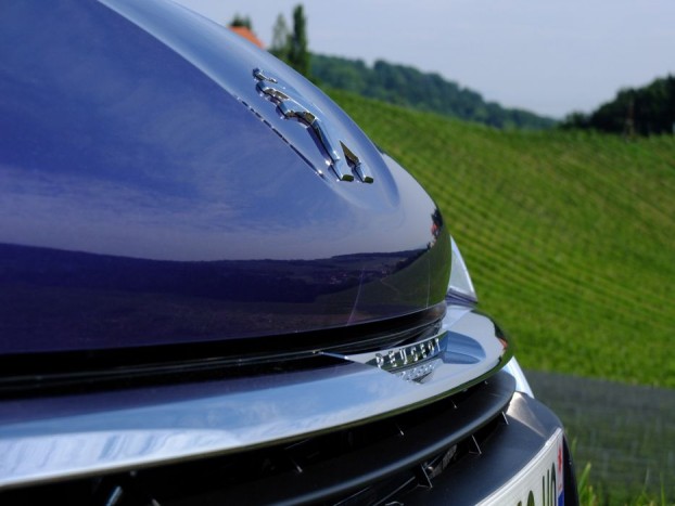 A Peugeot odafigyel a márkajellemzők erősítésére, az oroszlánkarmok motívuma már a 208 esetén is visszaköszön.