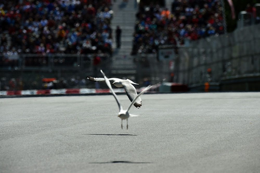 F1: Bajnokok a mezőny végén – a rajtrács a büntetések után 14