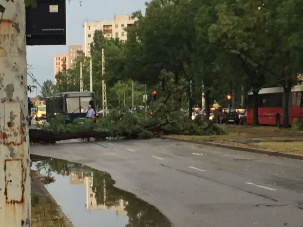 Szügyig taposnak az autók a vízben Budapesten 9 | Vezess Szügyig taposnak az autók a vízben Budapesten 9