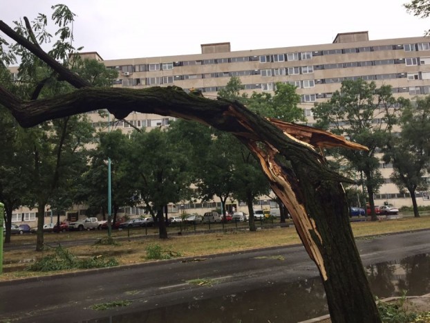 Szügyig taposnak az autók a vízben Budapesten 12 | Vezess Szügyig taposnak az autók a vízben Budapesten 12