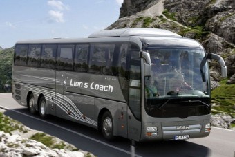 Limitált szériás oroszlán