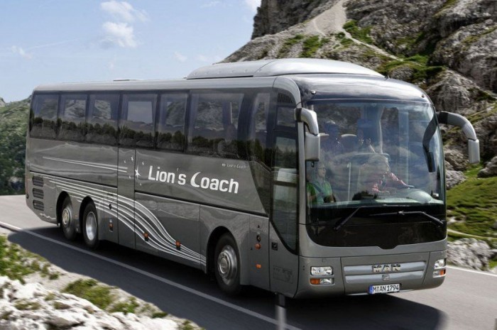 Limitált szériás oroszlán