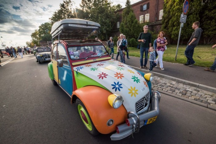 Kétezer mókás kacsa lepte el Lengyelországot 7