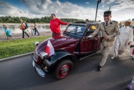 Kétezer mókás kacsa lepte el Lengyelországot 17