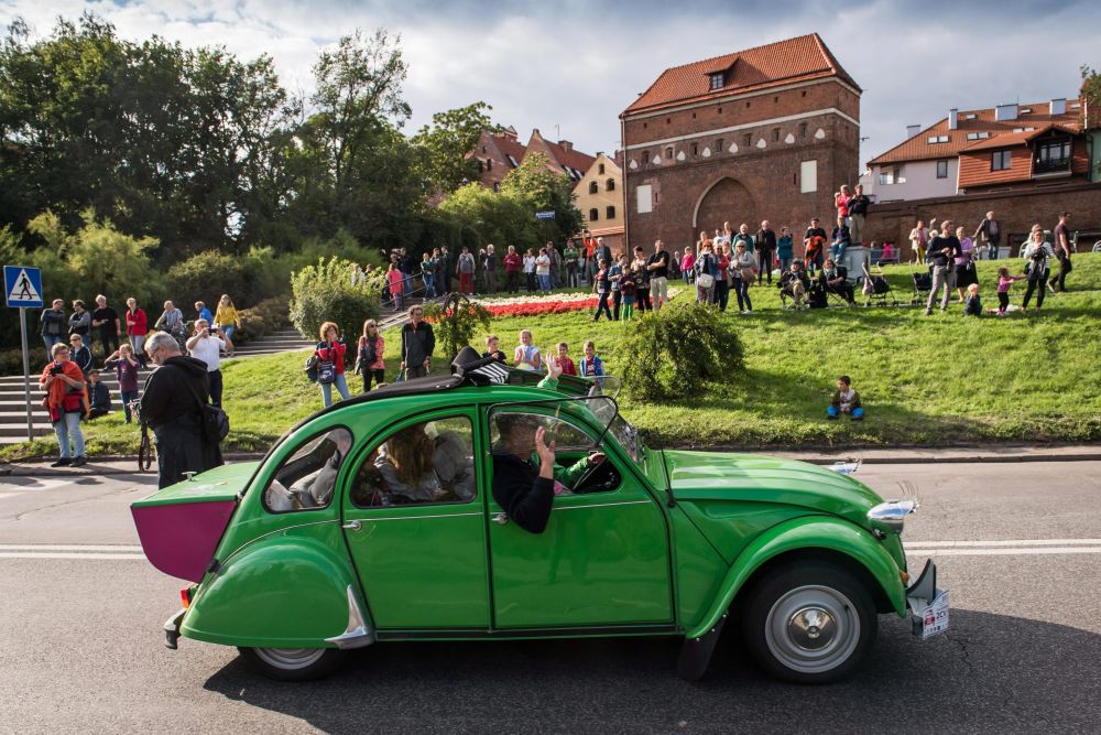 Kétezer mókás kacsa lepte el Lengyelországot 10