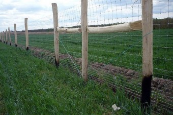 Új védőkerítést építenek az M7-es mellé