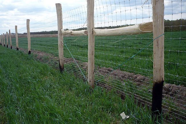 Új védőkerítést építenek az M7-es mellé