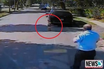 Másfél éves kislány sétált a busz elé