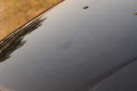Egy bogarat sikerült innen letörölni mosogatószivaccsal az egyéves autón