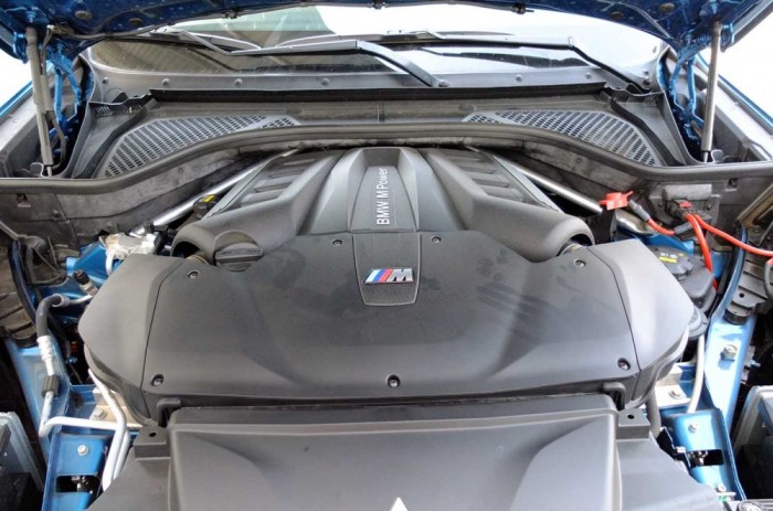 Kokainnal etetett elefánt hátán ülni 14