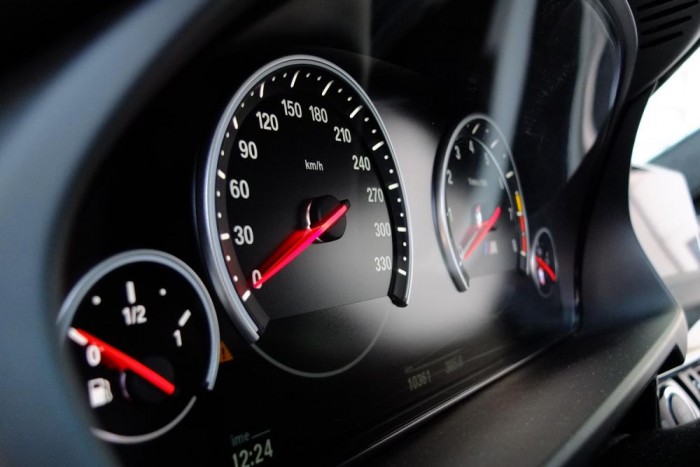 Kokainnal etetett elefánt hátán ülni 13