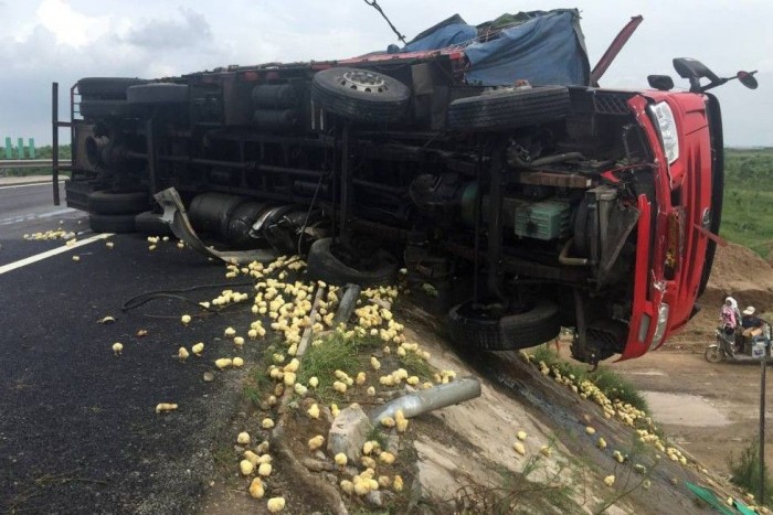 Ettől még az aszfalt is berúgott! 7