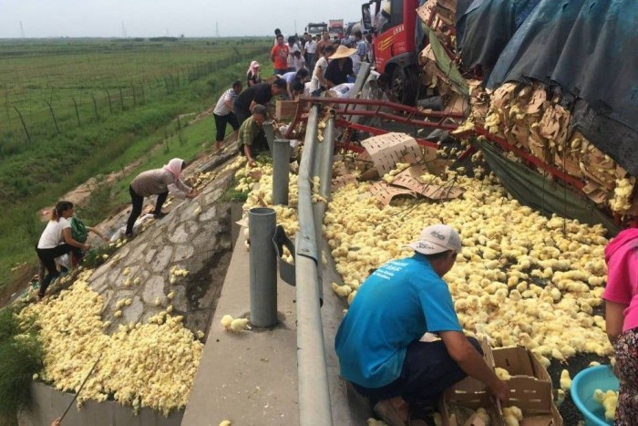 Ettől még az aszfalt is berúgott! 8