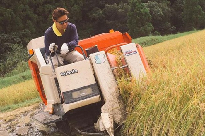 Nádaratónak állt kedvenc japán F1-esünk