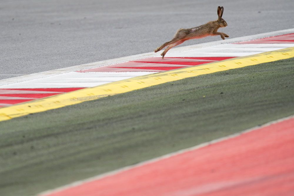 F1: Alonso előre legyint a monzai hétvégére 15