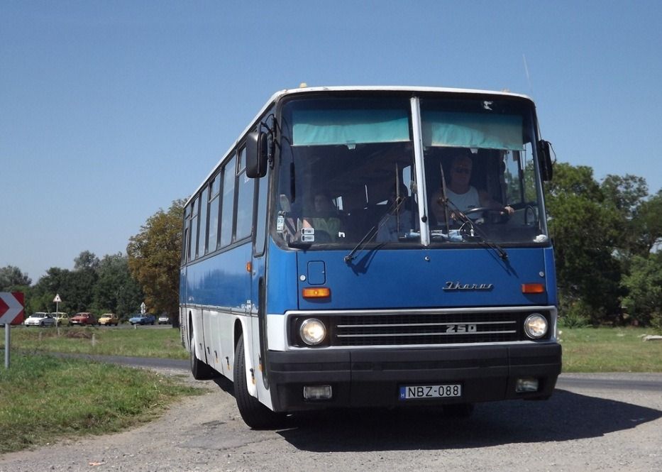 A 250-es a 200-as típuscsalád legeslegelső típusa volt, melynek tervezésében az Ikarus EAG egykori főkonstruktőre, Torma Lajos is részt vett. A típus nagyon hosszú ideig, 1967-től 1996-ig gyártották.